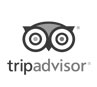 trip advisor